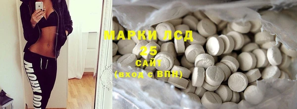 шишки Белоозёрский