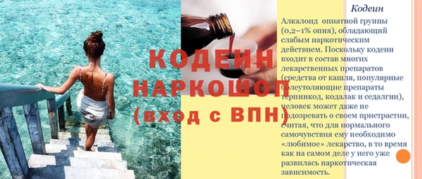 шишки Белоозёрский