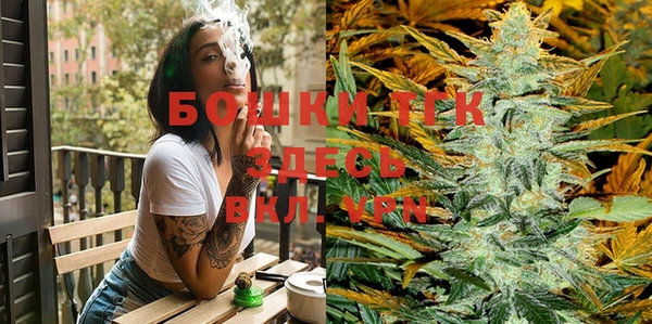 шишки Белоозёрский